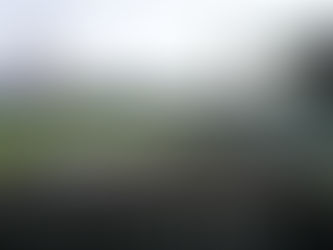 2020マスターズ甲子園について