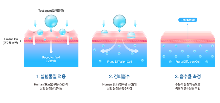 연구용 스킨 본문2-06.png