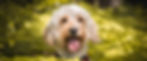 0T9A4265_edited.jpg