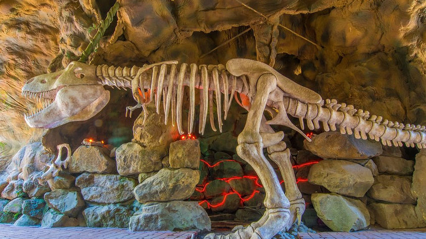 Ingresso Parque Terra Mágica Florybal com desconto DSTOUR: 10% a menos para ver os dinossauros