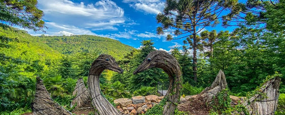 GARDEN PARK