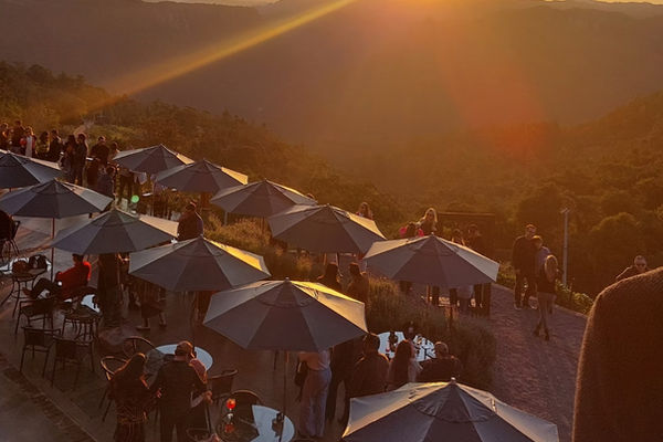Olivas de Gramado, passeio ao ar livre entre oliveiras