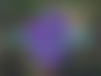 New Commandment Part 1