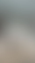 Paraty em Emergência: Temporais Causam Alagamentos e Mortes na Região