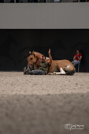 DSC_1711.jpg
