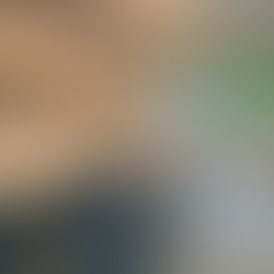 The Hue of Happiness: Crafting Ambiance with Color Psychology at Vins Interior