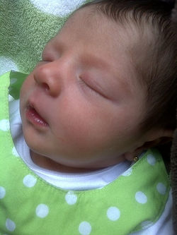 Salomé Jaramillo Estrada