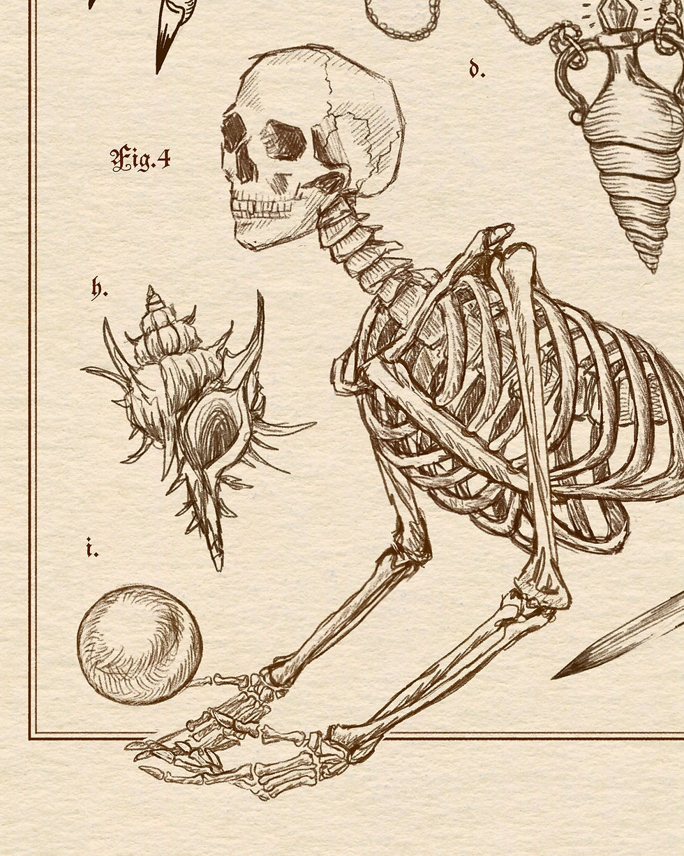 Thumbnail: Homonekto syreni (Mermaid Anatomy)