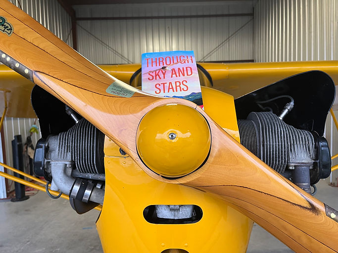 Plane with book.jpeg