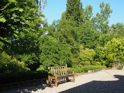 rear terrace