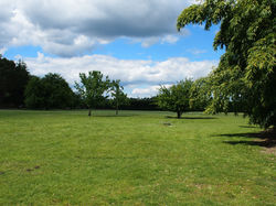 P5250382