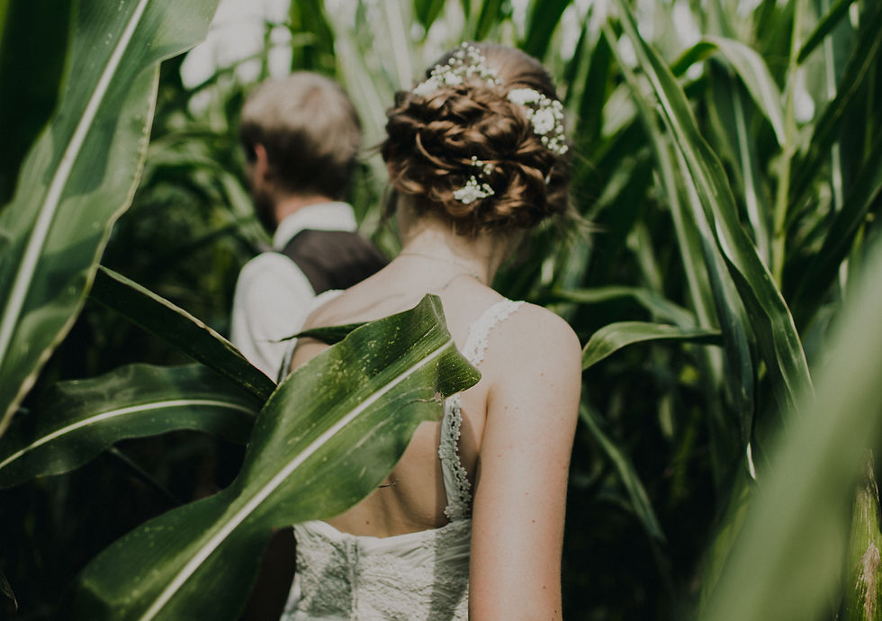 Wedding photographer Amsterdam