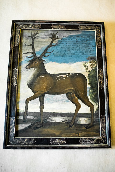 wedding photographer Dresden