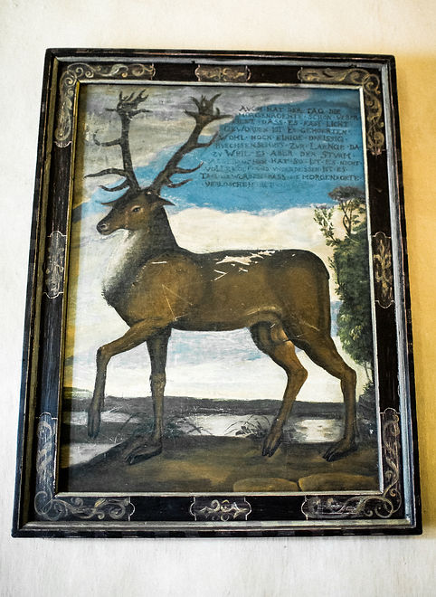 wedding photographer Dresden