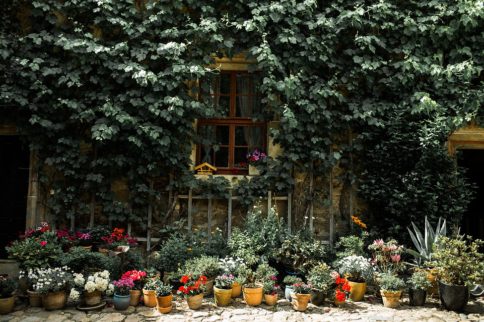 wedding photographer Dresden