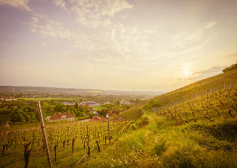 Wedding photographer Germany, Hochzeitsfotograf Deutschland, engagement photographer Germany