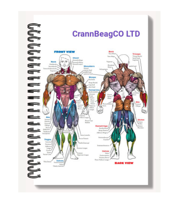 High Gloss A6 Notebook: Muscular System | crannbeagco