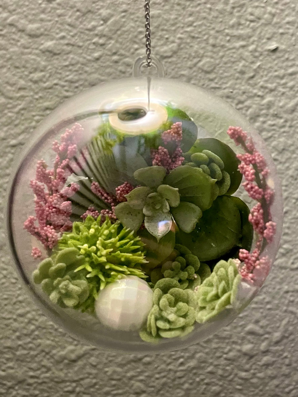 Thumbnail: Original Spood Travelers - Succulent Variety