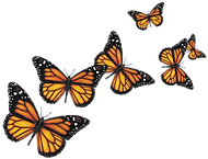 butterflies-png-7.png