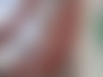 Shanghai Duolun Museum of Modern Art