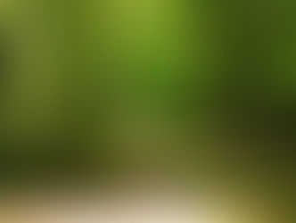 Living Close To Natural Green Space Benefits Gut Bacteria Of Urban, Formula-fed Infants