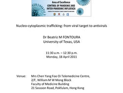 AoE Research Seminar by Dr FONTOURA