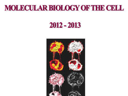 “Molecular Biology of the Cell” Course 2014 at Institut Pasteur - Call for Applications