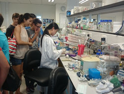 Students of the French International School of Hong Kong visited HKU-Pasteur Research Pole