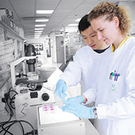 HKU-PRP is looking for Postgraduate Students (MPhil and PhD)