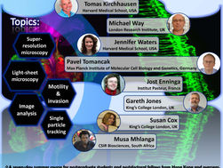 CALL FOR APPLICATIONS: Croucher Summer Course: Advanced Imaging -