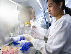 New Groundbreaking Findings With A Coating That Can Kill SARS-CoV-2