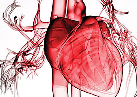 heart light opacity.jpg