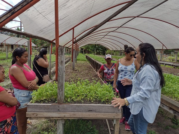 Produção de horta comunitária sustentável e de baixo custo