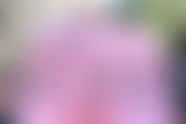 Manas em Combate: Mulheres no enfrentamento a todas as formas de violência