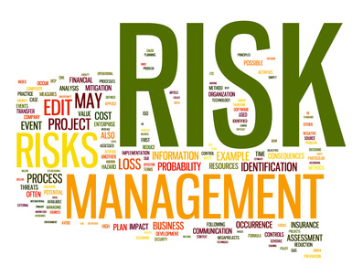 Risk Management Processes