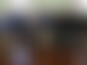 Vereadores de Linhares se reúnem com Governador do ES para discutir assuntos de interesse público