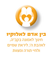 אלוקיו.png
