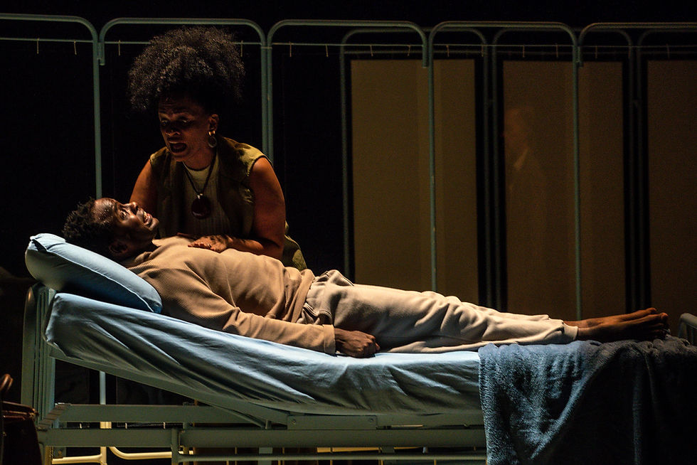 O Poeta Aviador abr2023_DMV8175 web