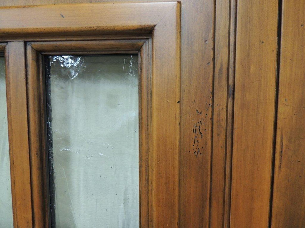 Entry Door Finish