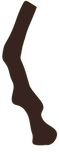 Branches-09.png