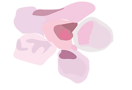 VIdeo flowers-13.png