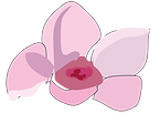 VIdeo flowers-09.png