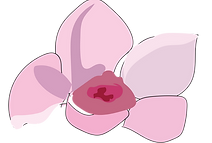 VIdeo flowers-09.png