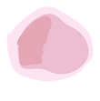 VIdeo flowers-27.png