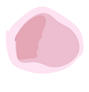 VIdeo flowers-27.png