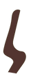Branches-12.png