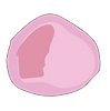 VIdeo flowers-25.png