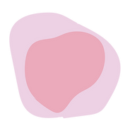 VIdeo flowers-26.png