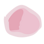 VIdeo flowers-33.png