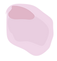 VIdeo flowers-24.png
